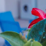 Maison Matilda 1 * Capo dʼOrlando