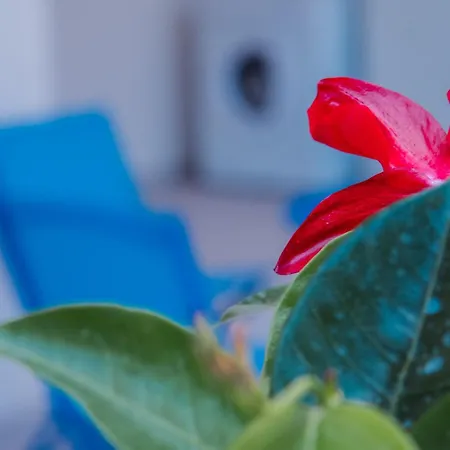 Maison Matilda 1 * Capo d'Orlando
